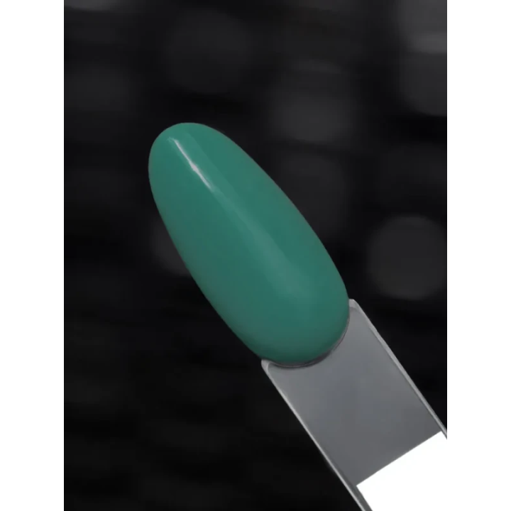 S204 Turtle Hybrid Polish